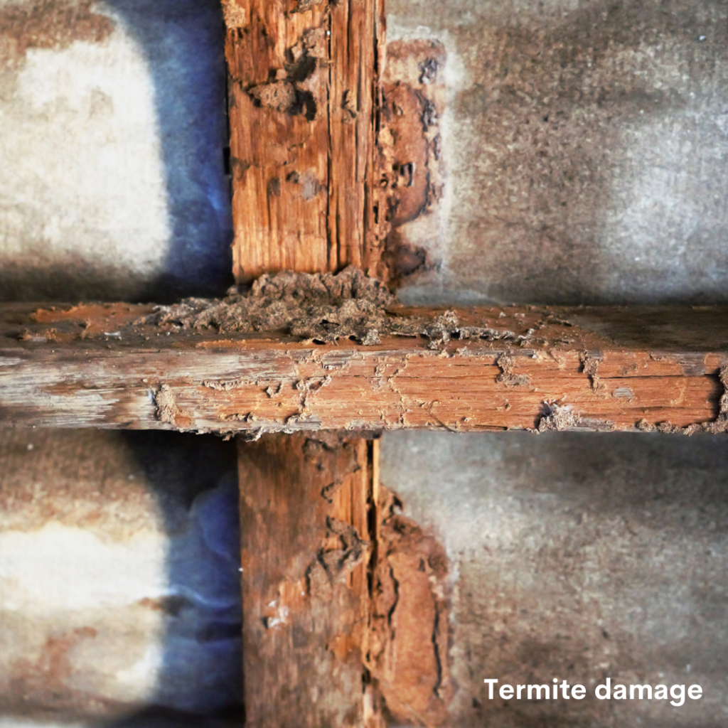 Termite damage results in weak and failing beams and posts, leading to sagging floors