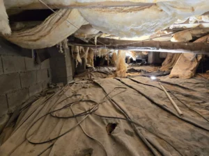 Crawl Space Before Repair in Middle Georgia