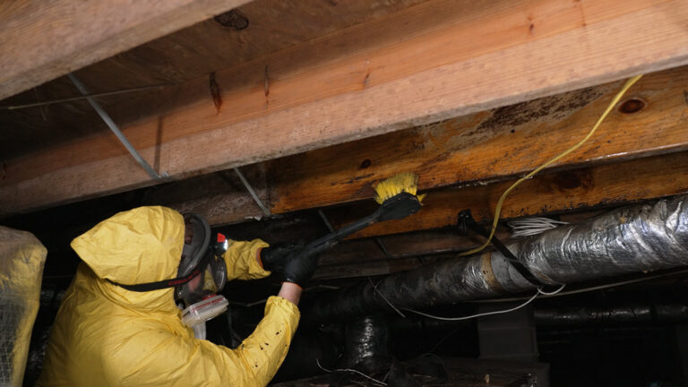 Cleaning Basement Mold